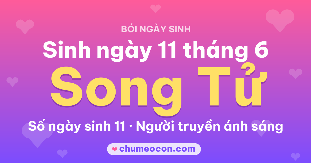 Ảnh kết quả: Sinh ngày 11 tháng 6: cung Song Tử, số ngày sinh 11