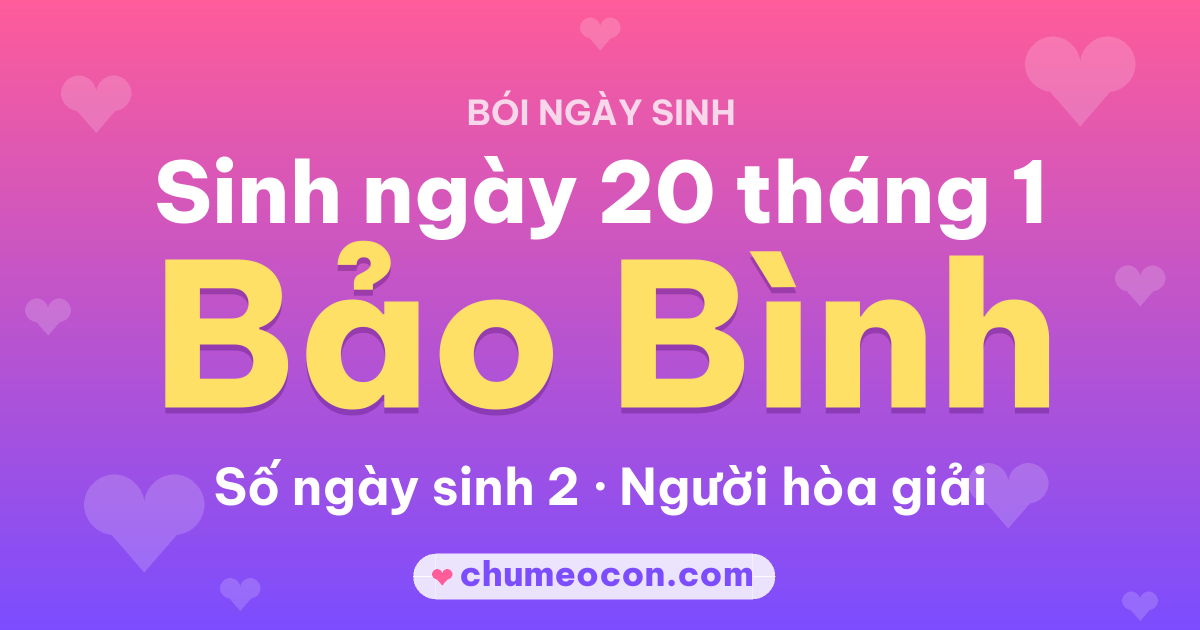 Ảnh kết quả: Sinh ngày 20 tháng 1: cung Bảo Bình, số ngày sinh 2